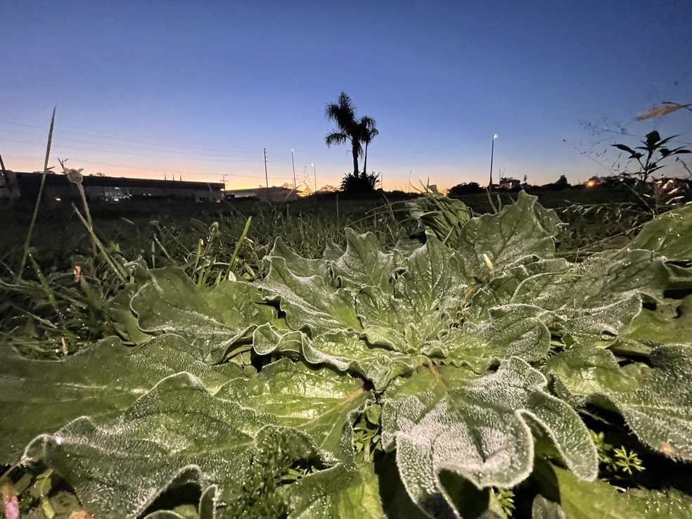 RS amanhece com temperaturas abaixo de 0ºC e coberto de geada