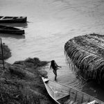 “Explorando a natureza selvagem: Fotógrafa Vilma Slomp mergulha na Amazônia em exposição