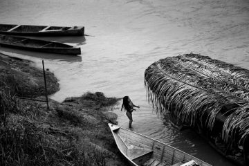 “Explorando a natureza selvagem: Fotógrafa Vilma Slomp mergulha na Amazônia em exposição