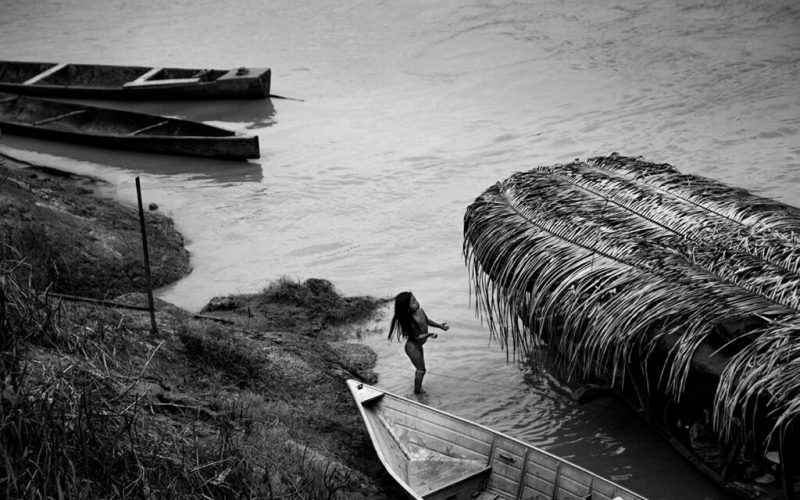 “Explorando a natureza selvagem: Fotógrafa Vilma Slomp mergulha na Amazônia em exposição