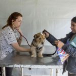 Caminhão da Saúde Animal percorre 35 municípios do Paraná oferecendo vacinas gratuitas para pets