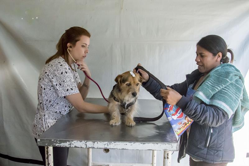 Caminhão da Saúde Animal percorre 35 municípios do Paraná oferecendo vacinas gratuitas para pets
