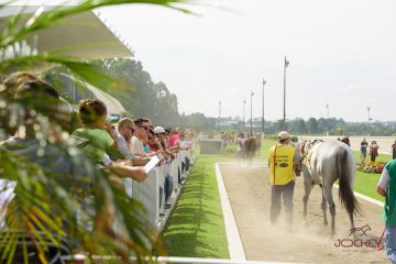 Sabadão terá corridas ao vivo e programação para toda a família no Jockey Club do Paraná