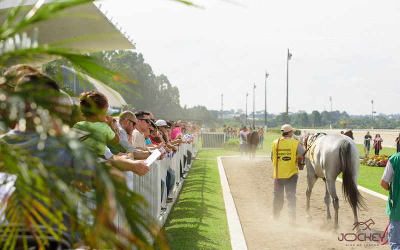 Sabadão terá corridas ao vivo e programação para toda a família no Jockey Club do Paraná
