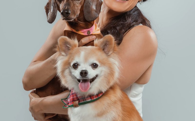 Dia do cachorro: por que os cães conquistaram um lugar tão especial nas famílias?
